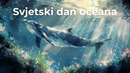 Svjetski dan oceana uz umjetnu inteligenciju
