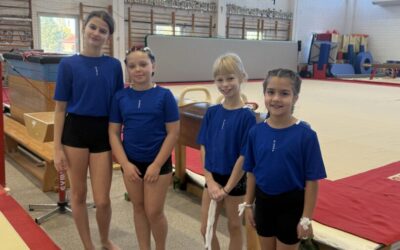Županijsko natjecanje u gimnastici