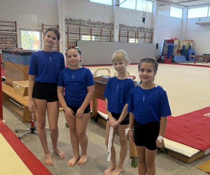 Županijsko natjecanje u gimnastici