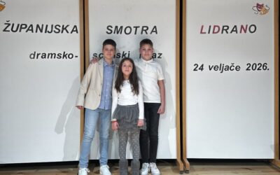 Županijsko natjecanje LiDraNo