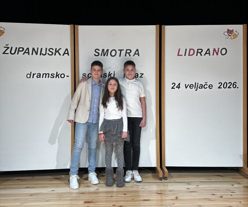 Županijsko natjecanje LiDraNo